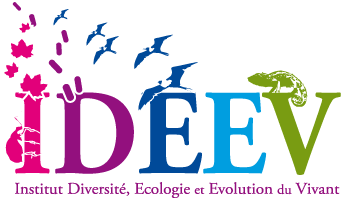 Logo Ideev en tête courrier