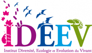 Logo Ideev en tête courrier