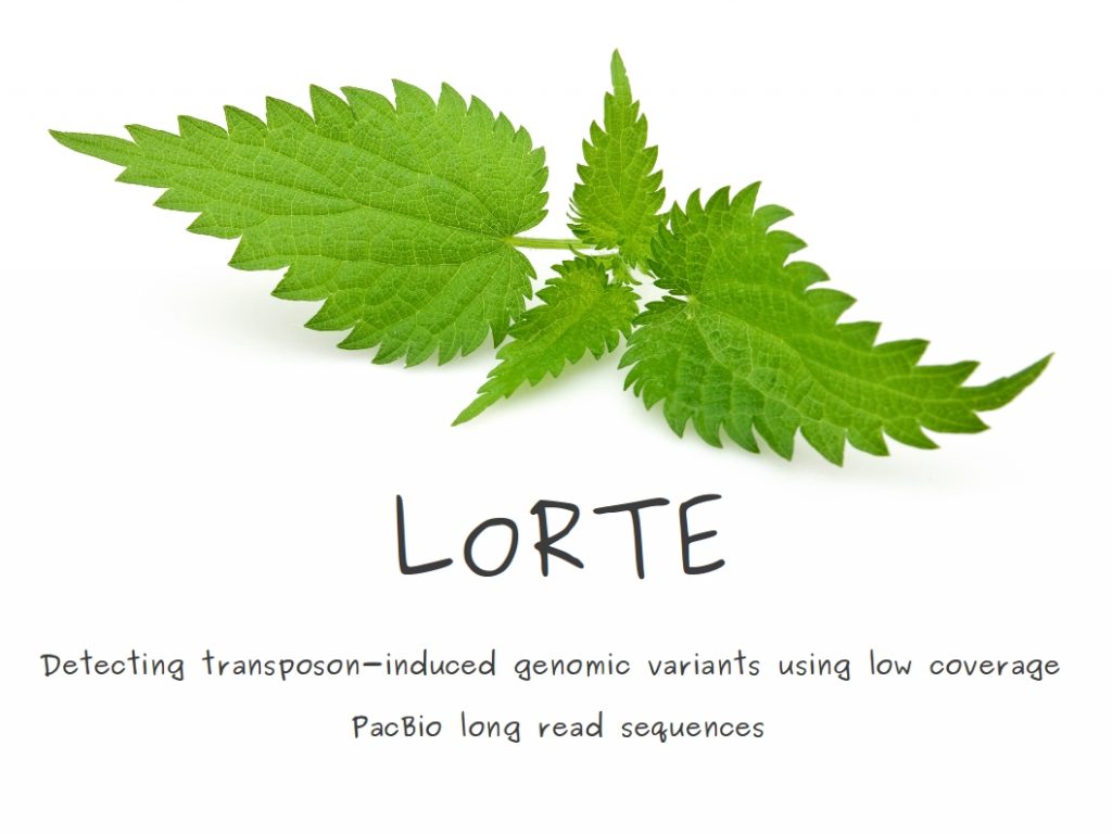 Logo_LoRTE